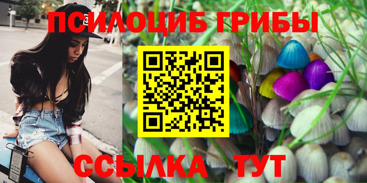 Галлюциногенные грибы Cubensis Сочи