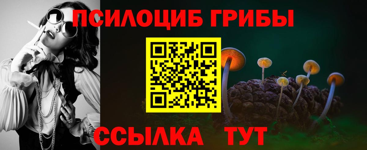Псилоцибиновые грибы Psilocybe  Вход с VPN  Сочи 
